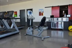 Free Motion 595 Recumbent Bike