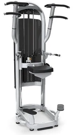 Matrix Aura G3-S60 Dip/Chin Assist