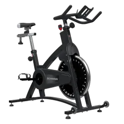Schwinn 9-7420 IC Classic Bike