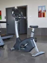 Cybex 750C Upright Bike