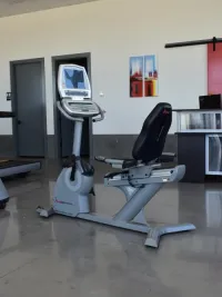 Free Motion 595 Recumbent Bike