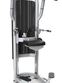 Matrix Aura G3-S60 Dip/Chin Assist