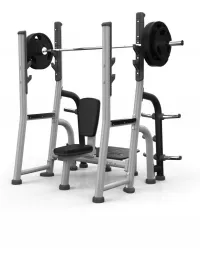 Matrix MAGNUM MG-A45 Olympic Shoulder Bench 