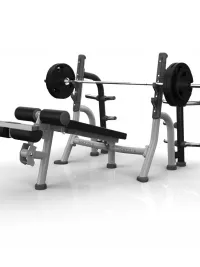 Magnum MG-A80 Olympic Decline Bench