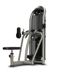 Matrix Aura G3-S34 Diverging Seated Row