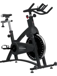 Schwinn 9-7420 IC Classic Bike