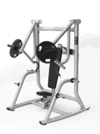 Matrix Magnum MG-PL12 Vertical Bench Press